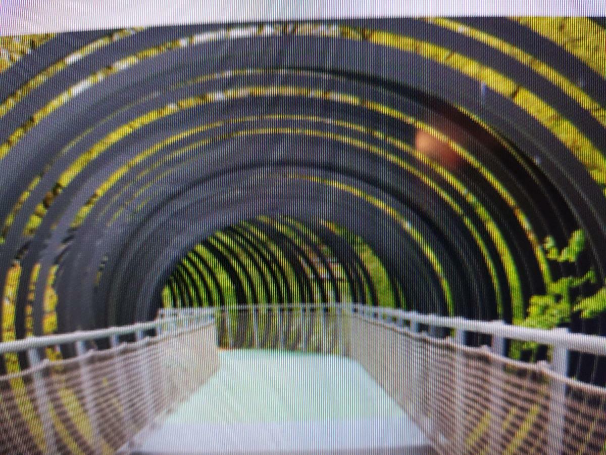 Fewofaubelcentro 42 & 54 & 62 M2 Oberhausen  Exterior foto